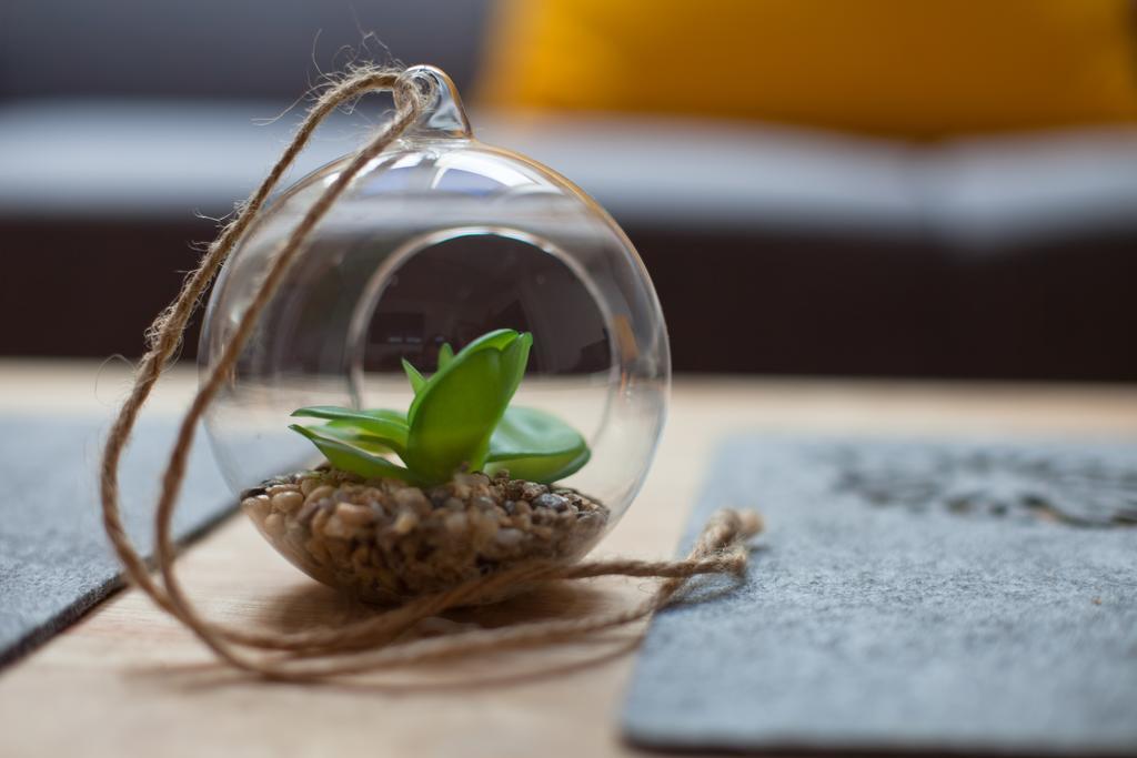 Apartament City Center Sky Krynica Zdroj Ngoại thất bức ảnh